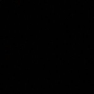 Meet your Posher, Domonic